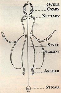 Diagramme d