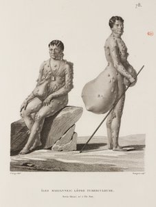 Maladies, maladies tropicales