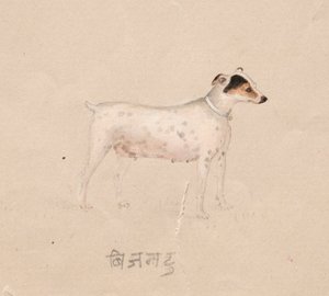 Chien, 1800s - Unbekannt