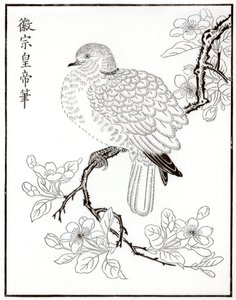 Colombe, 1886