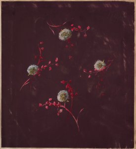 Dessin, de Saint Germain - Volumes 1 & 2, vers 1896 - Unbekannt
