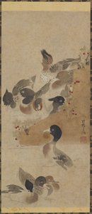 Canards, période Edo, XVIIIe siècle - Unbekannt