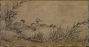 Canards et roseaux