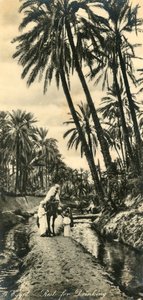 Égypte - Pause pour boire, vers 1918-1939