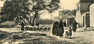 Égypte - Village près du Caire, vers 1918-1939 - Unbekannt