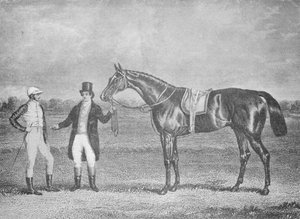 Euclide, deuxième dans le St. Leger, après une égalité avec Charles XII - Unbekannt