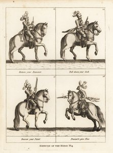 Exercice du cheval