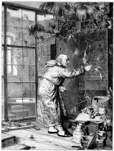 Nourrir les animaux de compagnie, 1880