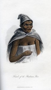 Femme de la race Bushman, 1848