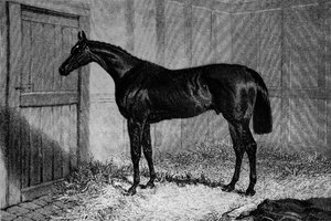Foig-A-Ballagh, vers 1841-1860, 1911