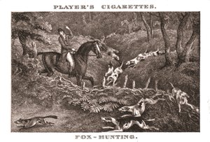 Chasse au renard