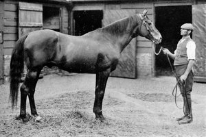 Foxhall, 1880-1904, 1911
