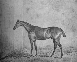 Frédéric, 1826-1837, 1911