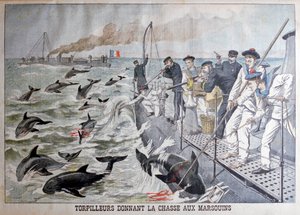 Torpilleurs français chassant les marsouins, 1903