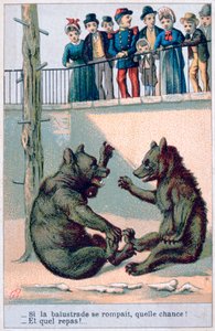 Carte postale zoologique française, XIXe siècle - Unbekannt