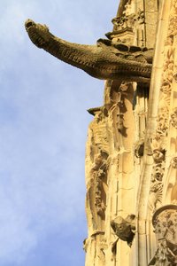 Gargouille. Cathédrale Saint-Étienne, Bourges, France