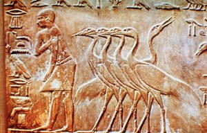 Oies, bas-relief du tombeau de Ptahhotep, Saqqarah, Égypte, 24e siècle av. J.-C.