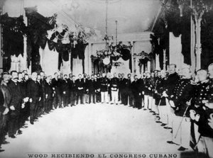 Général Wood, années 1920