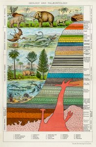 Géologie et Paléontologie - Unbekannt