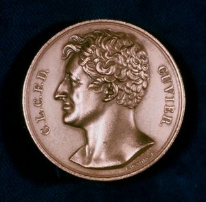 Georges Léopold Chrétien Frédéric Dagobert, Baron Cuvier, anatomiste français, 19ème siècle - Unbekannt