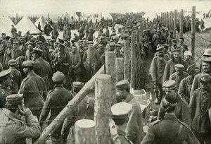 Prisonniers allemands entrant dans les cages, 1919