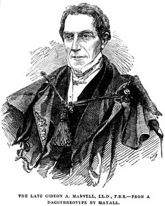 Gideon Algernon Mantell, géologue anglais - Unbekannt