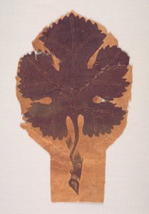 Feuilles de vigne d
