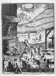 Vendange, 1775