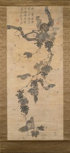 Vigne et écureuils