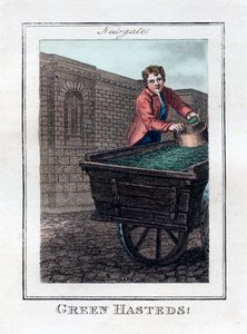 Green Hasteds, Newgate, Londres, 1805