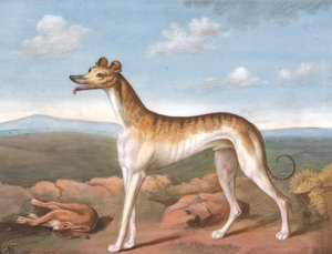 Lévrier : face à gauche, avec un lièvre mort à ses pieds, vers 1805