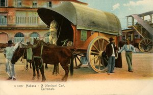 La Havane - Un chariot marchand, Carromato, vers 1910