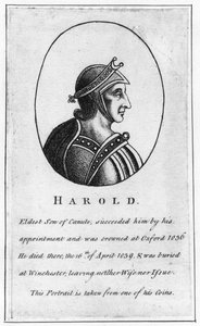 Harold Pied-de-Lièvre, vers 1015-1040
