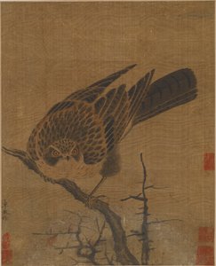 Faucon sur une branche sans feuilles, possiblement dynastie Yuan, 1279-1368 - Unbekannt