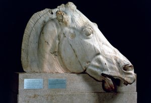 Tête de cheval du char de Séléné du fronton est du Parthénon