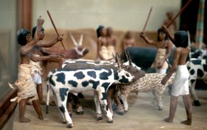 Conduite de bétail, modèle de tombeau égyptien ancien