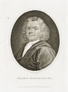 Herman Boerhaave, médecin, chimiste et botaniste néerlandais, début du XVIIIe siècle
