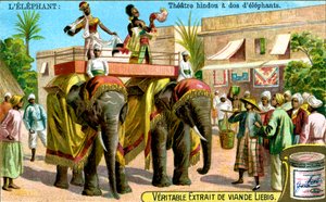 Théâtre hindou sur le dos des éléphants, c1900