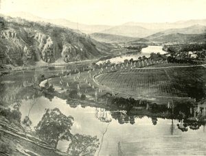 Jardins de houblon en Tasmanie, 1901 - Unbekannt