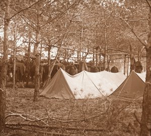 Cantonnement des chevaux, Suippes, nord de la France, c1914-c1918