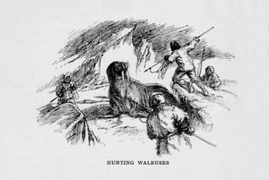 Chasse aux morses, vers 1927-1928
