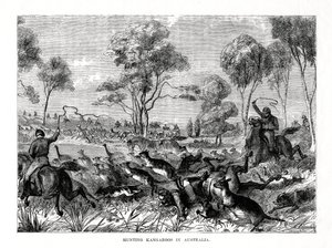 Chasse aux kangourous, Australie, 1877