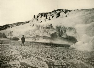 Fleurs de glace sur la glace de mer nouvellement formée au début de l
