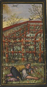 Illustration pour Le merveilleux été de la vie éternelle de Jacob Zader, 1603 - Unbekannt