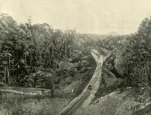 Dans les Blackall Ranges, 1901 - Unbekannt