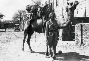 Cavalier indien à dos de chameau, Bagdad, 1918