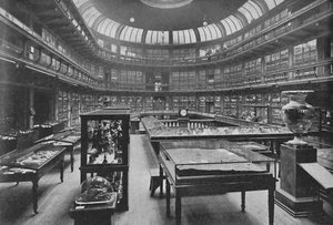 Intérieur du Musée géologique, rue Jermyn, 1904