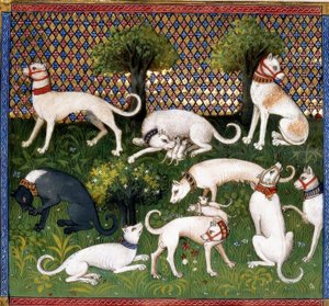 Chiens de chasse / Livre de la Chasse