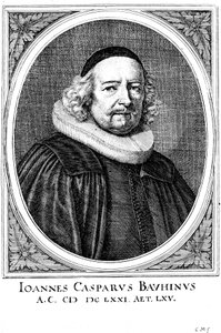 Jean Caspar Bauhin 1606-1659, médecin et botaniste suisse