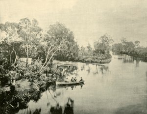 Jonction des rivières Glengarry et Thompson, Victoria, 1901 - Unbekannt